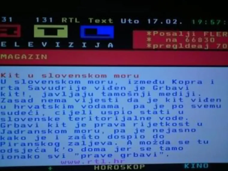 'Ovčar na sudu zbog silovanja kuje': 30 najluđih novinskih naslova svih vremena