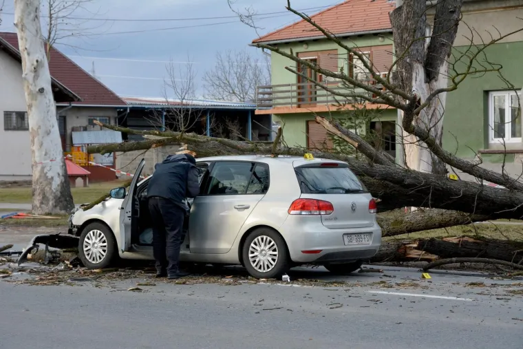 DRAMA U SLAVONIJI: Pogledajte kako je stablo palo na automobil u vožnji