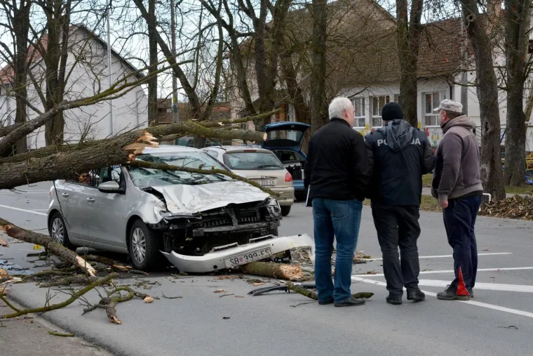DRAMA U SLAVONIJI: Pogledajte kako je stablo palo na automobil u vožnji