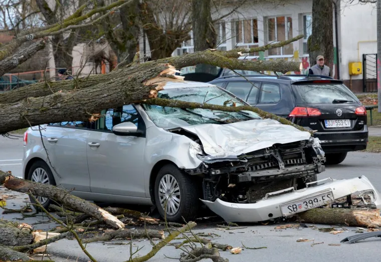 DRAMA U SLAVONIJI: Pogledajte kako je stablo palo na automobil u vožnji