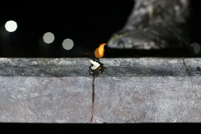 Nepoznati počinitelj bacio je jaja na spomenik Franji Tuđmanu