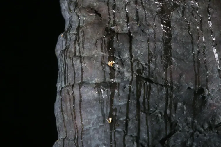 Nepoznati počinitelj bacio je jaja na spomenik Franji Tuđmanu