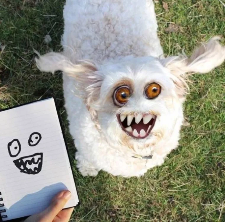 GALERIJA KOJA ĆE VAS DUGO DRŽATI BUDNIMA: A ako slučajno i zaspete, i dalje ćete sanjati ove prizore