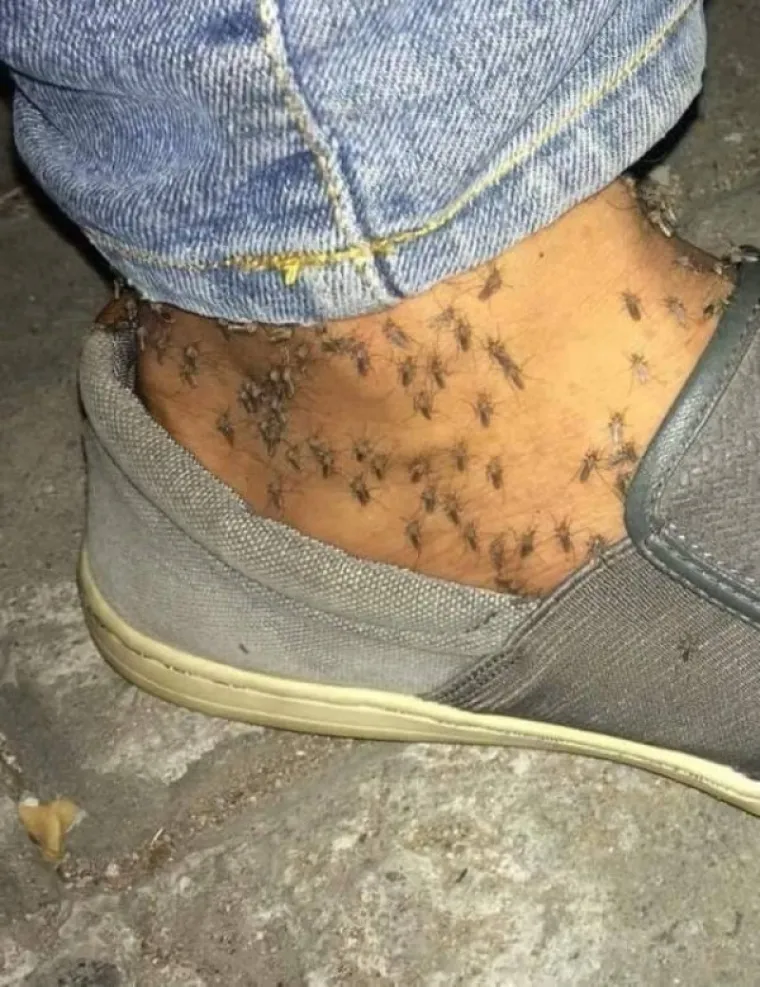 GALERIJA KOJA ĆE VAS DUGO DRŽATI BUDNIMA: A ako slučajno i zaspete, i dalje ćete sanjati ove prizore