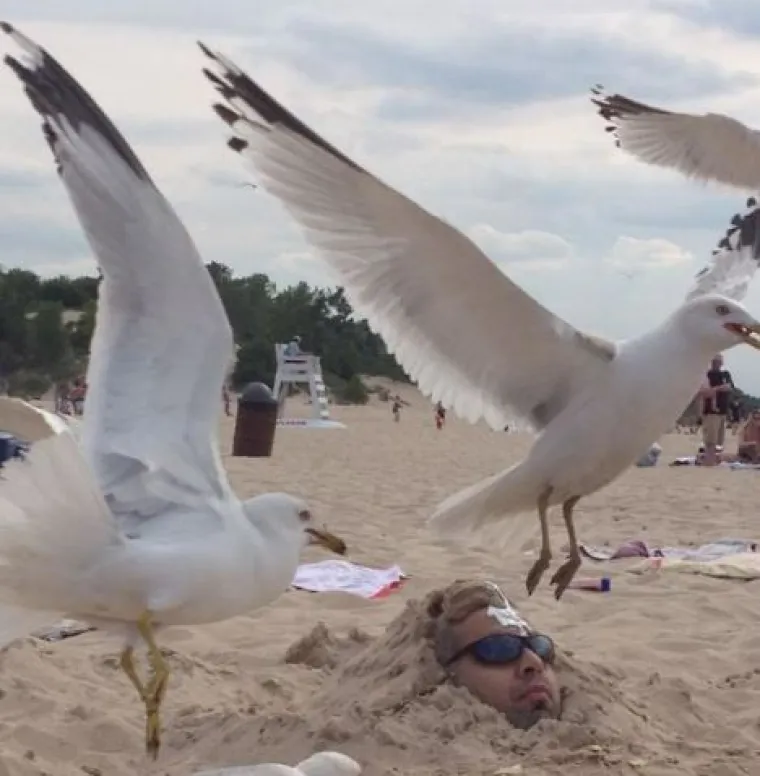 Ako ste mislili da je vama dan počeo lo&scaron;e, ovih će vas 25 slika uvjeriti da uvijek može gore