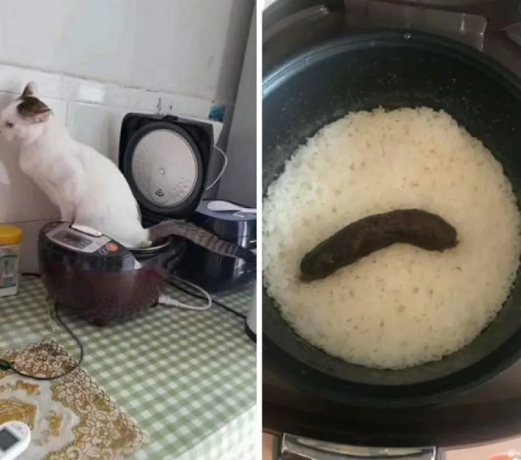 Ako ste mislili da je vama dan počeo lo&scaron;e, ovih će vas 25 slika uvjeriti da uvijek može gore