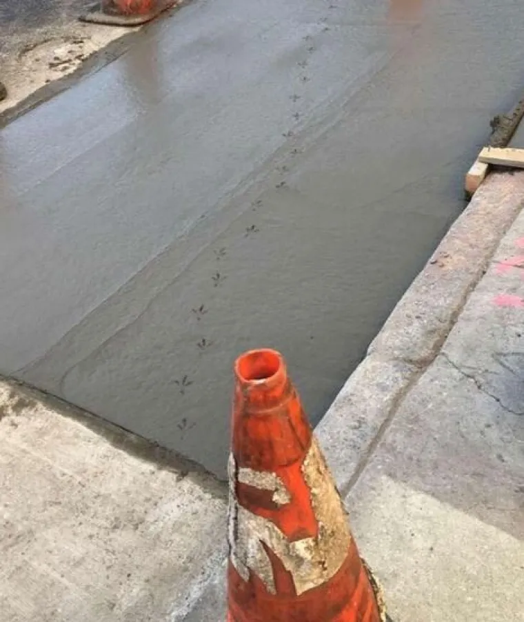 Ako ste mislili da je vama dan počeo lo&scaron;e, ovih će vas 25 slika uvjeriti da uvijek može gore