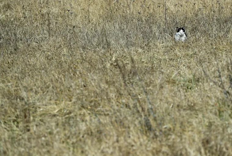 Kuća strave: Mjesto gdje je mrtvo tijelo žene 19 godina ležalo u zamrzivaču