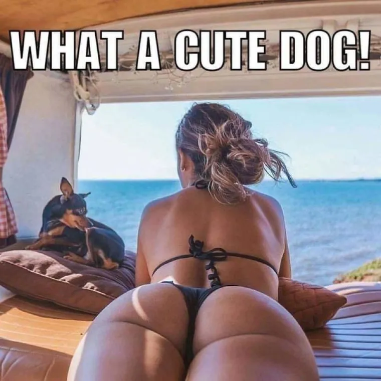 NISU U PREDSJEDNIČKOJ KAMPANJI, ALI LOVE LAJKOVE: Kad ne upali ni dijeta, niti obnažene fotke, ostaje im jedan adut