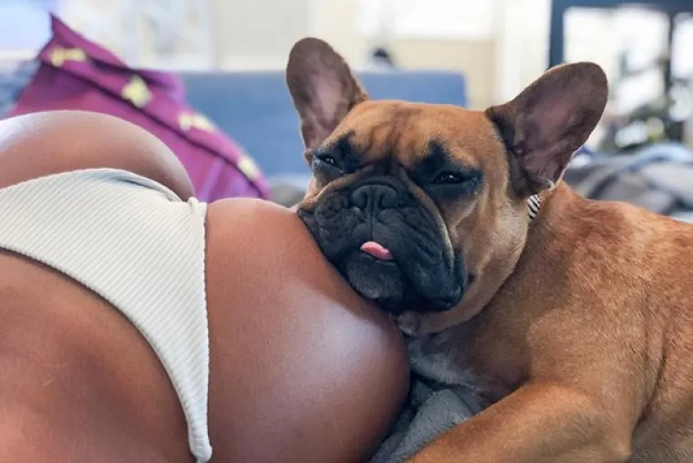 NISU U PREDSJEDNIČKOJ KAMPANJI, ALI LOVE LAJKOVE: Kad ne upali ni dijeta, niti obnažene fotke, ostaje im jedan adut