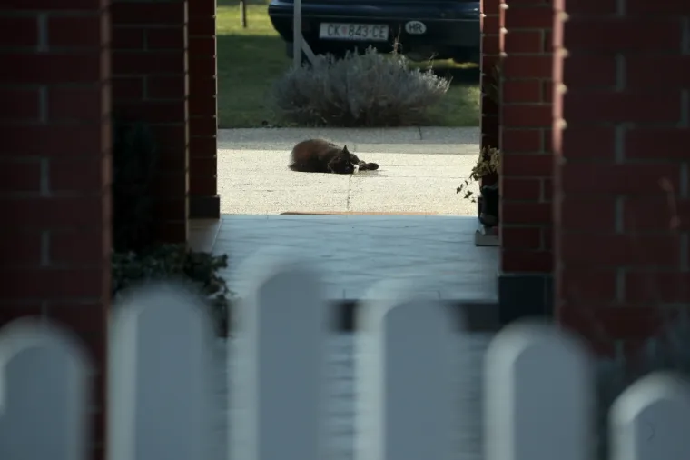 U subotu u obiteljskoj kući u Palovcu u Međimurju u zamrzivaču pronađeno je mrtvo tijelo ženske osobe. Policija sumnja kako je riječ o djevojci rođenoj 1977., koja nije viđena od 2000. godine, a zbog sumnje u ubojstvo uhićena je njezina 45-godi&scaron;nja sestra.
