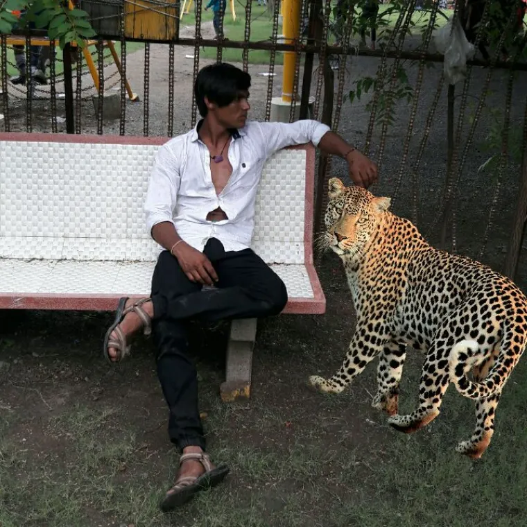 25 fotografija na kojima su ljudi urnebesno lo&scaron;e foto&scaron;opirali sebe da bi zadivili dru&scaron;tvene mreže