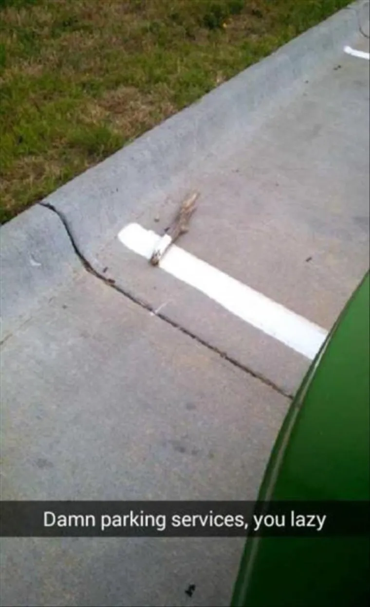 KOJE KOLEGE MOŽETE PREPOZNATI: Radno mjesto je često puno klaunova, zabu&scaron;anata ili onih likova koji stvarno nemaju sreće