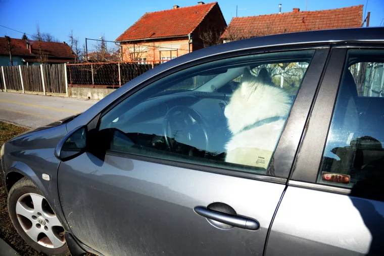 Photo: Damir Spehar/PIXSELL