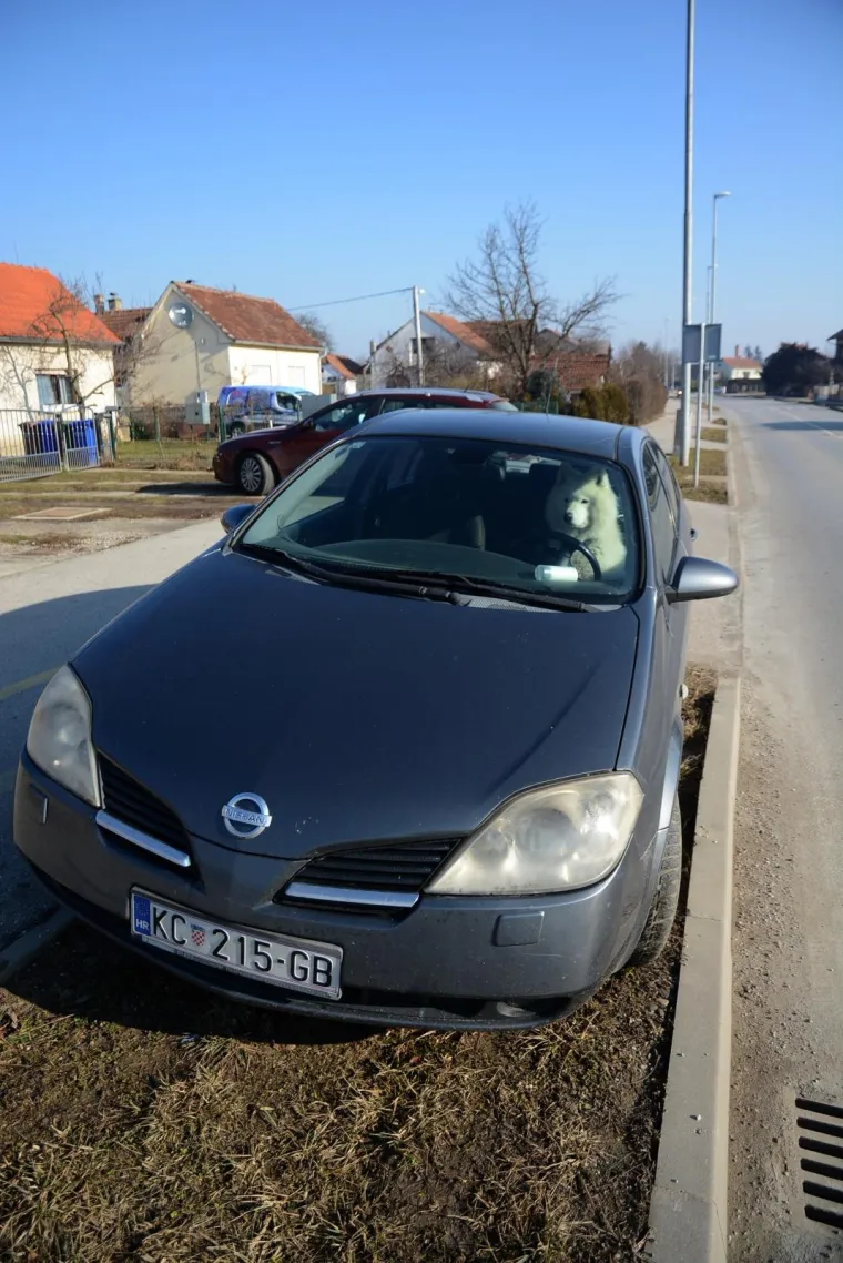 Photo: Damir Spehar/PIXSELL