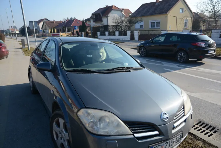 Photo: Damir Spehar/PIXSELL