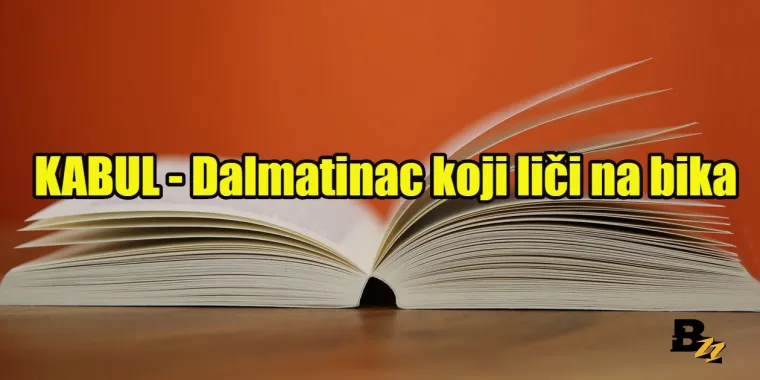 'Bremen' je Srbin, a 'Herpes' gospodin pas: 15 urnebesnih značenja hrvatskih riječi koje zapravo to ne znače
