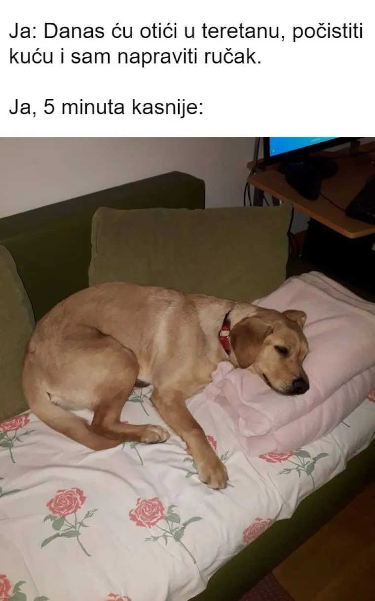 Inspirirali ste nas! 20 najjačih mema koje smo napravili od va&scaron;ih kućnih ljubimaca