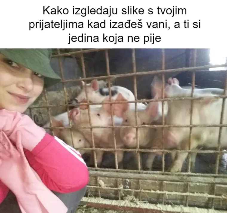 Inspirirali ste nas! 20 najjačih mema koje smo napravili od va&scaron;ih kućnih ljubimaca