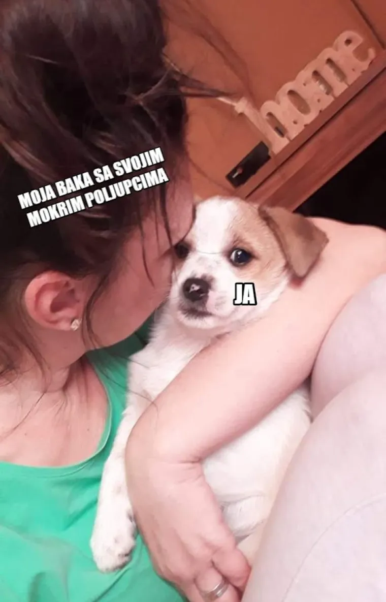 Inspirirali ste nas! 20 najjačih mema koje smo napravili od va&scaron;ih kućnih ljubimaca