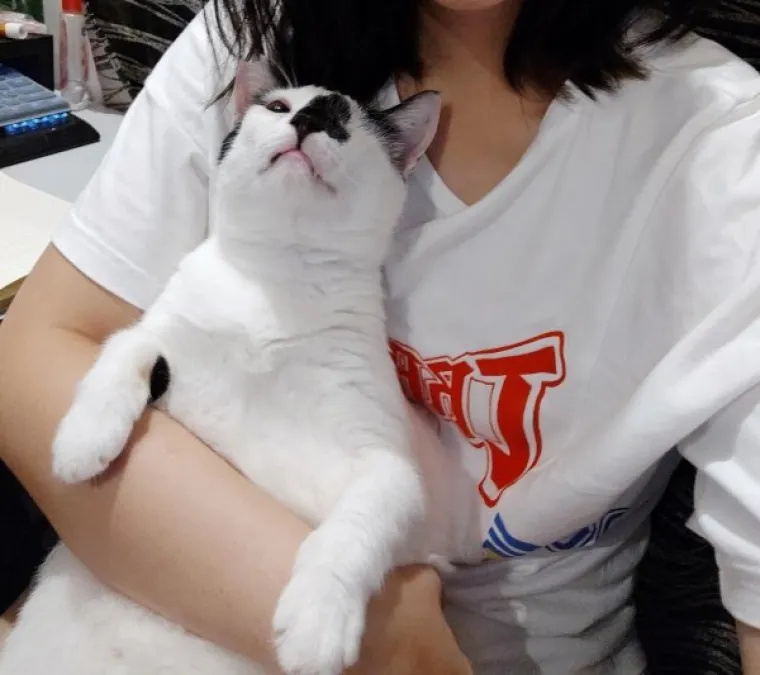 NAĐITE NEKOG TKO ĆE VAS GLEDATI KAO OVE MACE SVOJE LJUDE: A čak niti ne drže nikakav komad hrane...