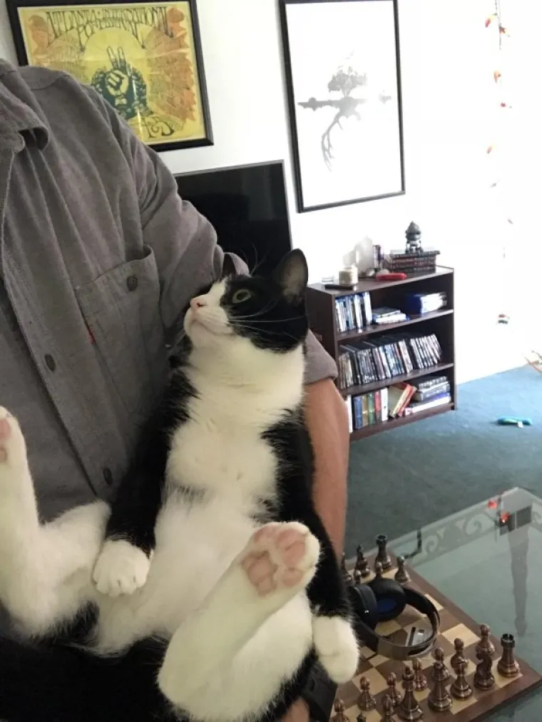 NAĐITE NEKOG TKO ĆE VAS GLEDATI KAO OVE MACE SVOJE LJUDE: A čak niti ne drže nikakav komad hrane...