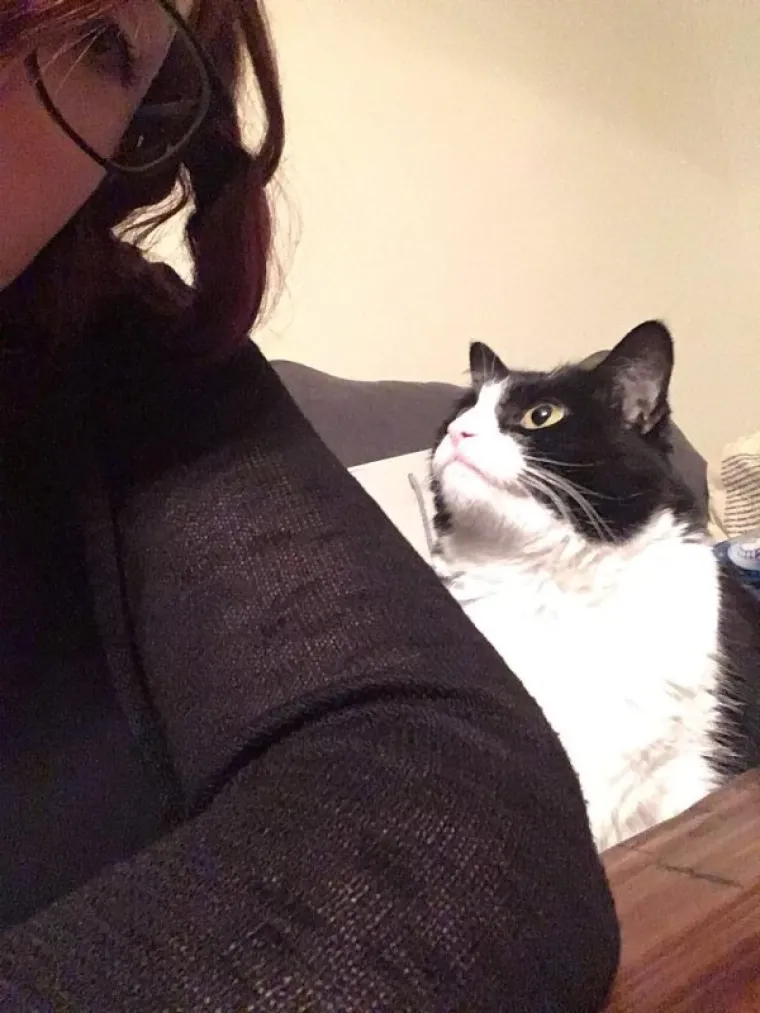 NAĐITE NEKOG TKO ĆE VAS GLEDATI KAO OVE MACE SVOJE LJUDE: A čak niti ne drže nikakav komad hrane...