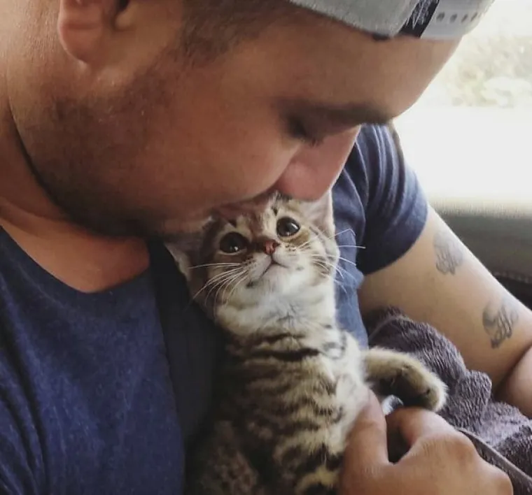 NAĐITE NEKOG TKO ĆE VAS GLEDATI KAO OVE MACE SVOJE LJUDE: A čak niti ne drže nikakav komad hrane...