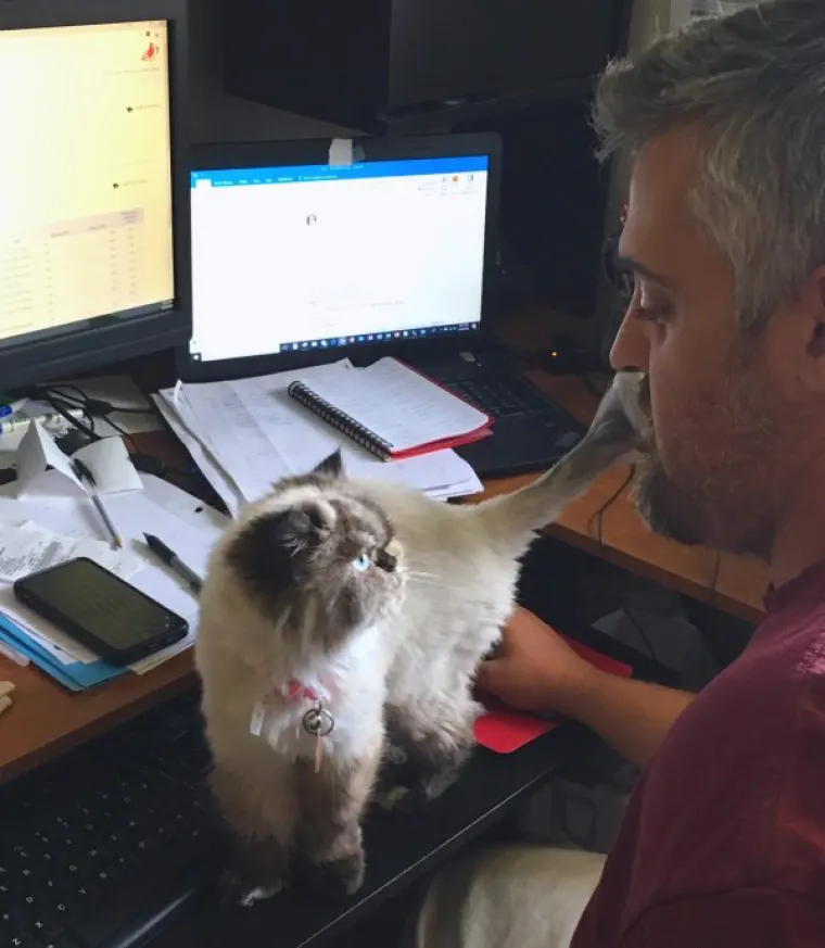 NAĐITE NEKOG TKO ĆE VAS GLEDATI KAO OVE MACE SVOJE LJUDE: A čak niti ne drže nikakav komad hrane...