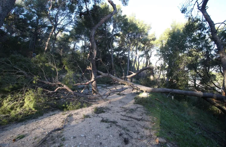&Scaron;teta po cijelom gradu: Bura u Splitu otežava kretanje, a osjećaj hladnoće je polarni!