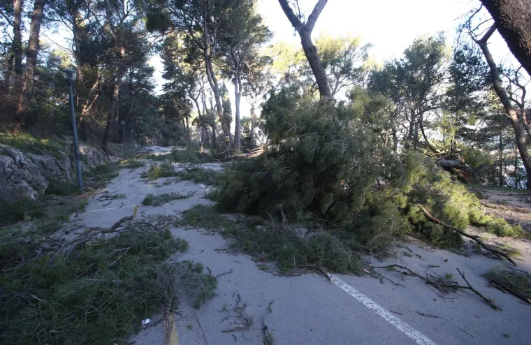 &Scaron;teta po cijelom gradu: Bura u Splitu otežava kretanje, a osjećaj hladnoće je polarni!