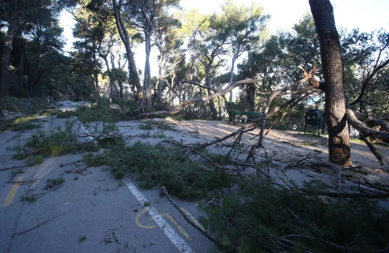 &Scaron;teta po cijelom gradu: Bura u Splitu otežava kretanje, a osjećaj hladnoće je polarni!