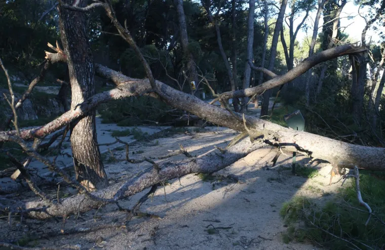 Stra&scaron;na orkanska bura poharala Split