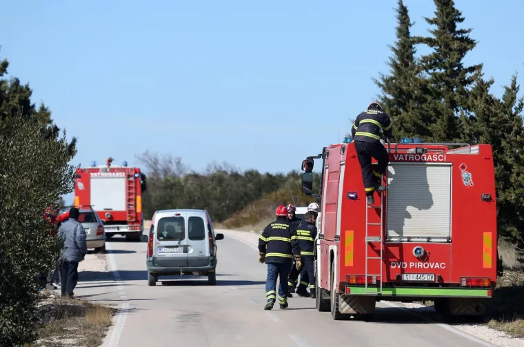 Kod Tribunja gori borova šuma