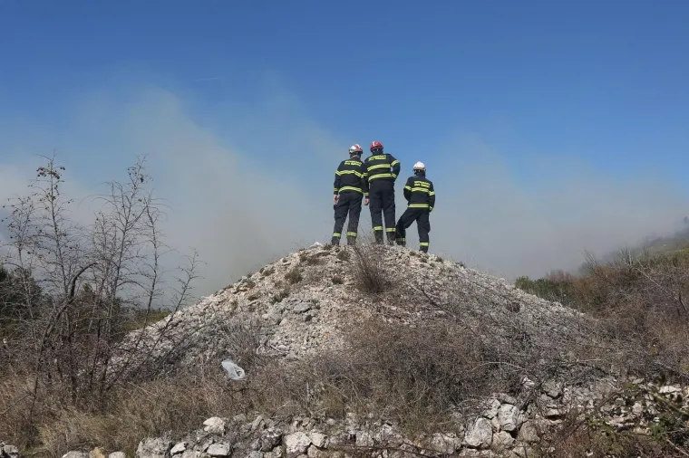 Kod Tribunja gori borova šuma
