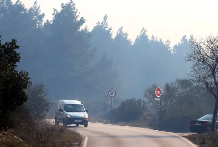 Kod Tribunja gori borova šuma