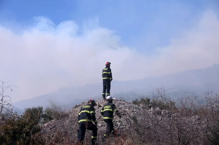 Kod Tribunja gori borova šuma