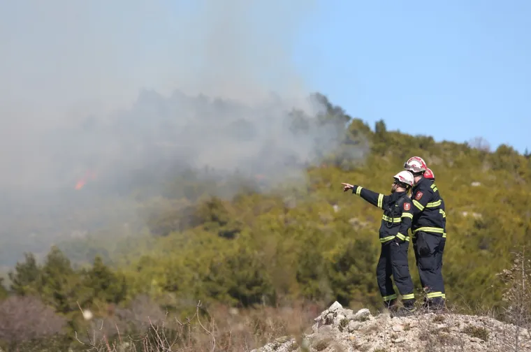 Kod Tribunja gori borova šuma