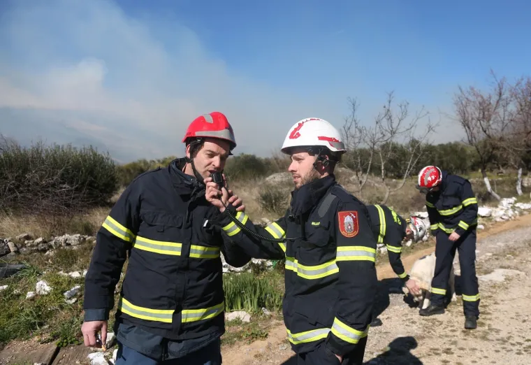 Kod Tribunja gori borova &scaron;uma