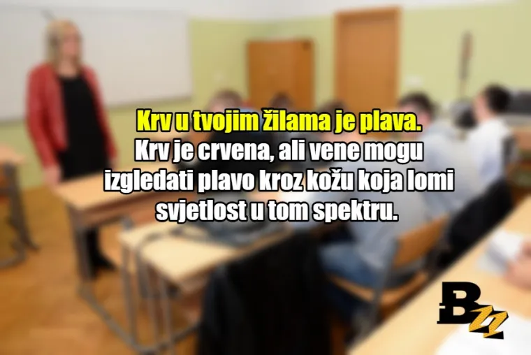 'Kada odrastete, pisati ćete pisanim slovima': 20 neistina kojih smo naučili u &scaron;koli