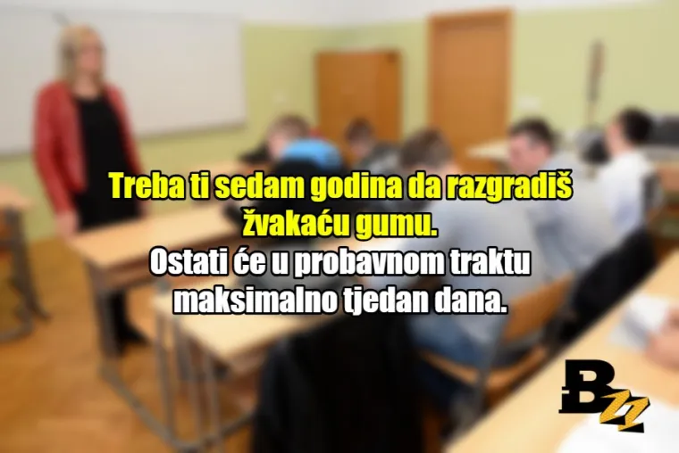 'Kada odrastete, pisati ćete pisanim slovima': 20 neistina kojih smo naučili u &scaron;koli
