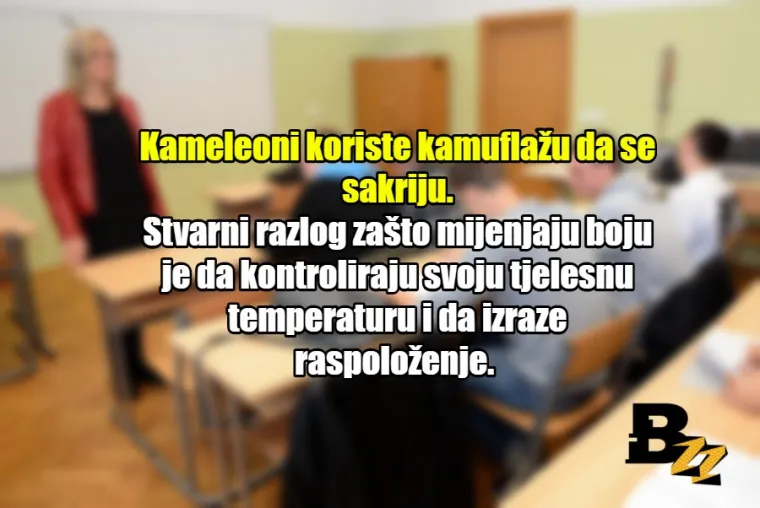 'Kada odrastete, pisati ćete pisanim slovima': 20 neistina kojih smo naučili u &scaron;koli