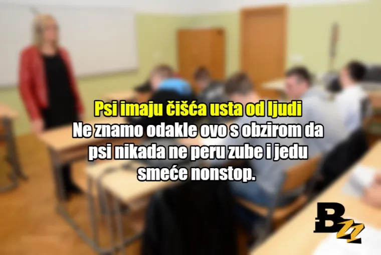 'Kada odrastete, pisati ćete pisanim slovima': 20 neistina kojih smo naučili u &scaron;koli
