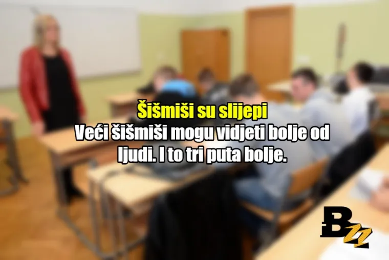 'Kada odrastete, pisati ćete pisanim slovima': 20 neistina kojih smo naučili u &scaron;koli