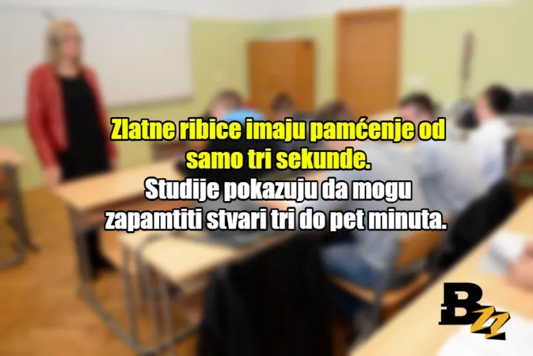 'Kada odrastete, pisati ćete pisanim slovima': 20 neistina kojih smo naučili u &scaron;koli