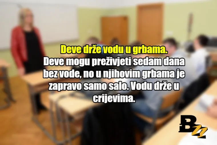 'Kada odrastete, pisati ćete pisanim slovima': 20 neistina kojih smo naučili u &scaron;koli