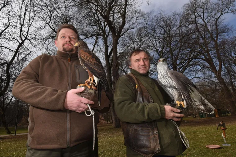 Bojite se vrana? Međimurci su smislili radikalan način da ih rastjeraju!