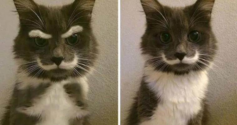 Ne vjerujte svemu &scaron;to vidite: 20 viralnih fotografija koje su, zapravo, jedna velika prevara