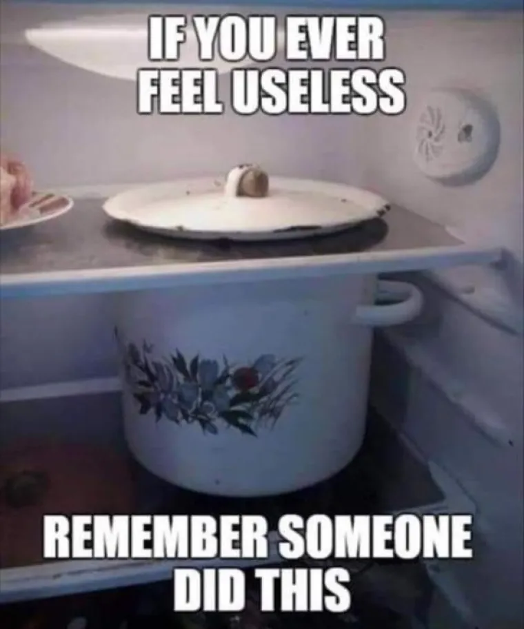 KAD SE DIJELILA PAMET ONI SU ODLUČILI MARKIRATI: Ovako izgleda glupost u punom sjaju