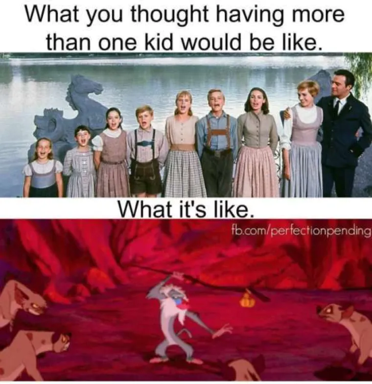 OVAKO IZGLEDA ŽIVOT PRIJE I NAKON KLINACA: Surova realnost prikazana kroz urnebesne memove